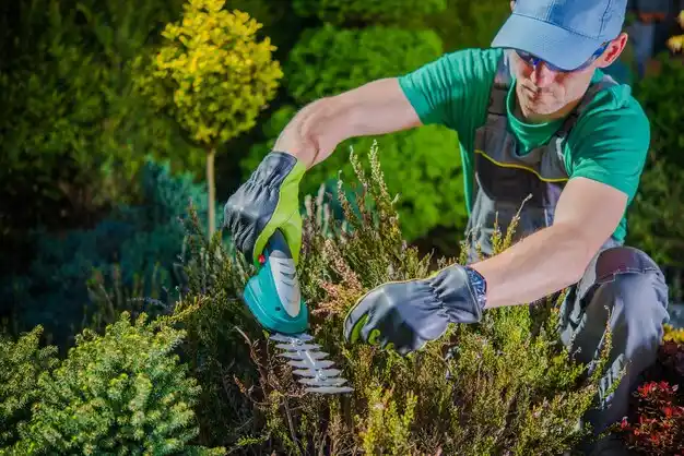 landscaping services Hahnville